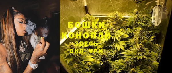 шишки Абинск