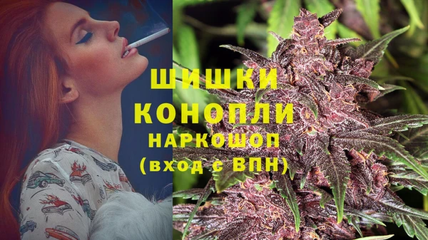 шишки Абинск