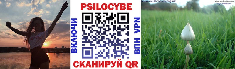Галлюциногенные грибы Psilocybine cubensis  Циолковский 